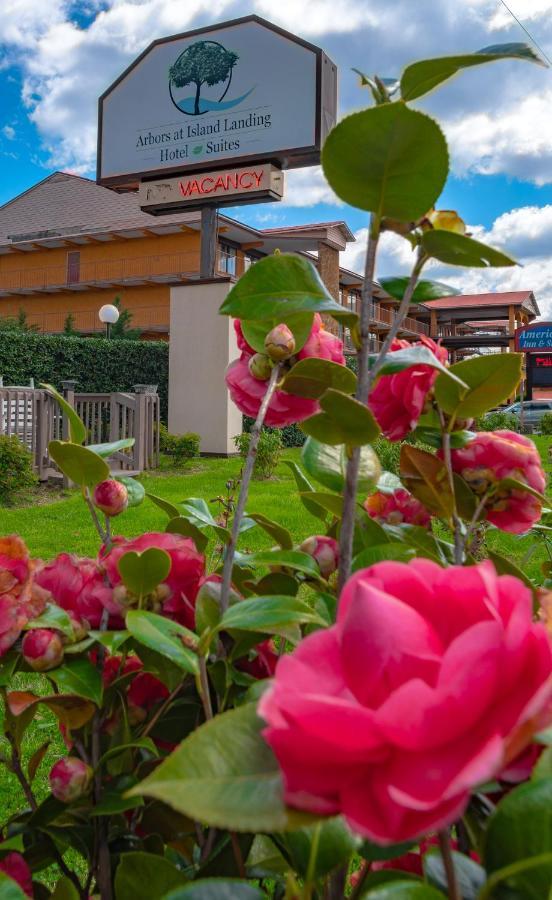 Arbors At Island Landing Hotel & Suites Pigeon Forge Eksteriør bilde